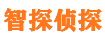 宁明寻人公司